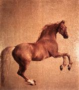 STUBBS, George Whistlejacket r oil painting